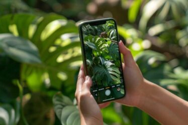 Cultivar: App gratuita para cuidar plantas. ¿Alguna vez te has preguntado cómo transformar tu hogar en un auténtico paraíso verde? 🌿